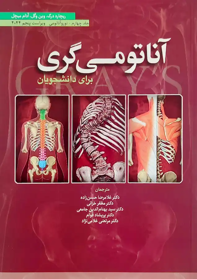 anatomy of human