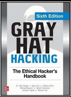 Grey Hat hacking